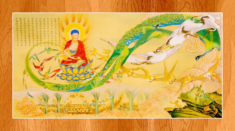 Phật thuyết kinh A Di Đà (2101)